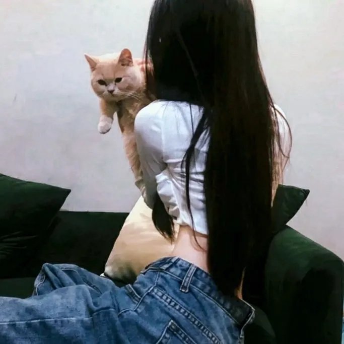 完美狙击